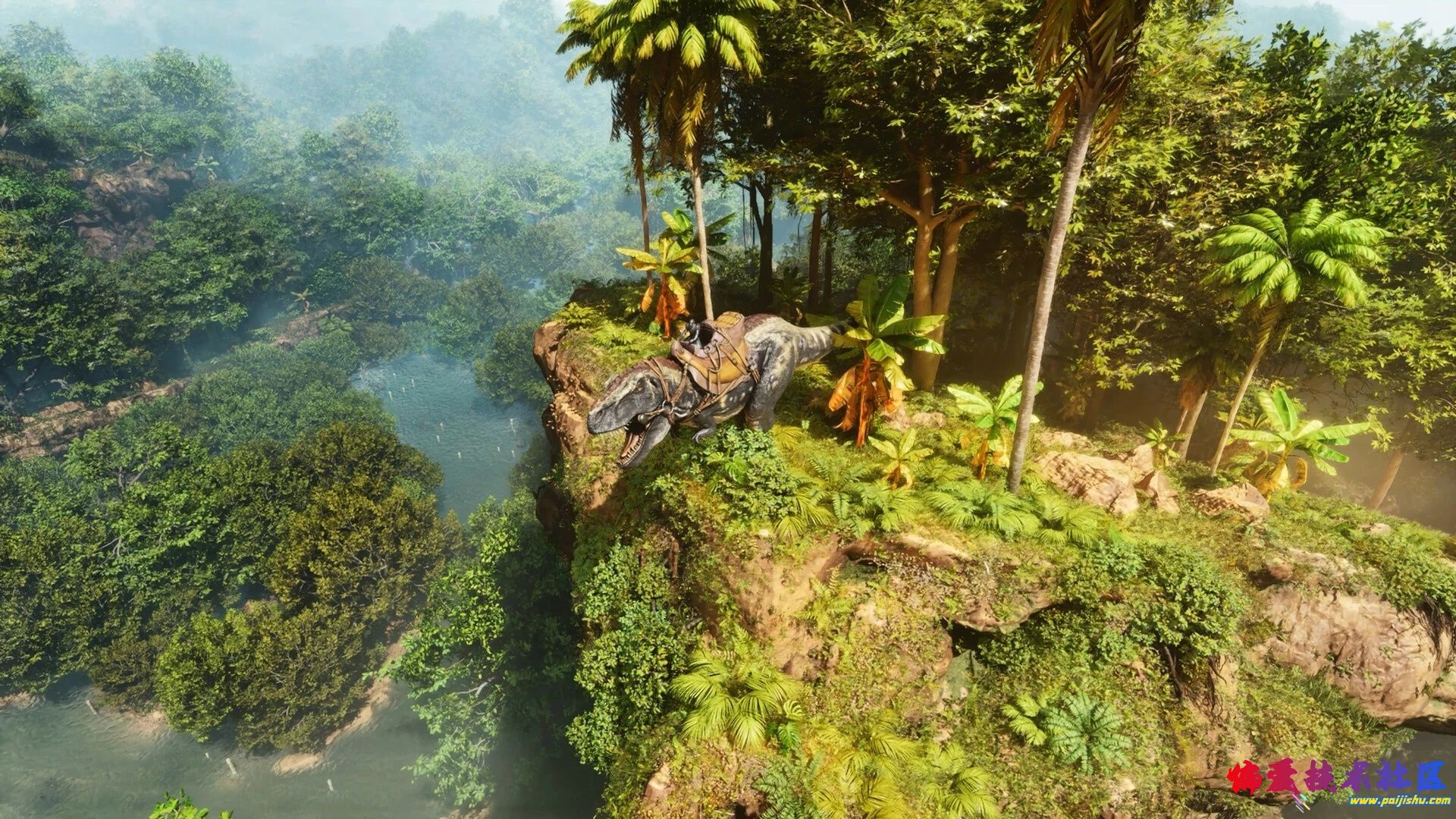 65745.jpg