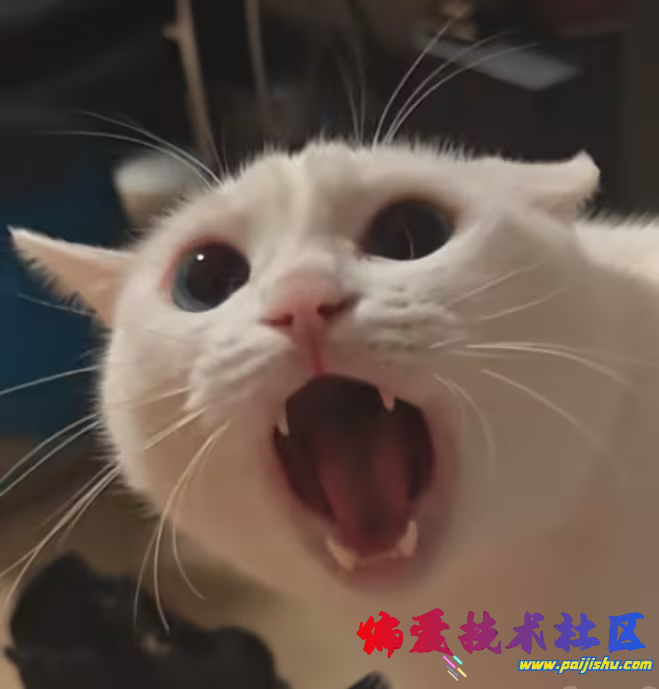 1000071157.png