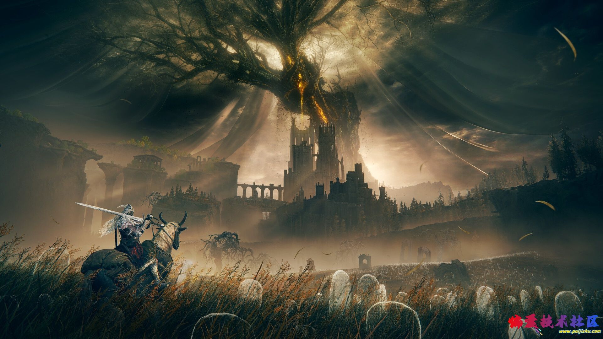 1000035550.jpg