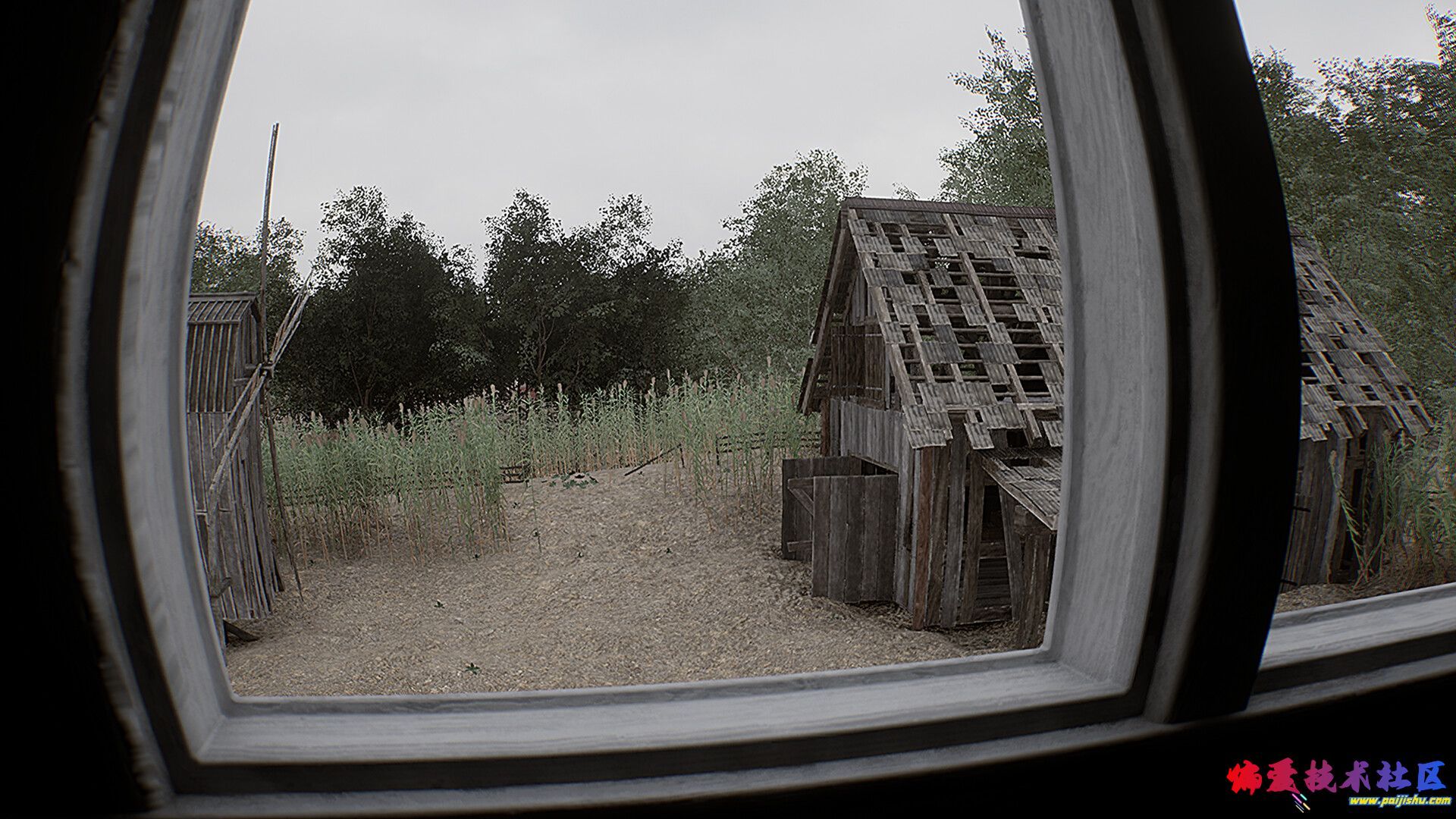 02.jpg